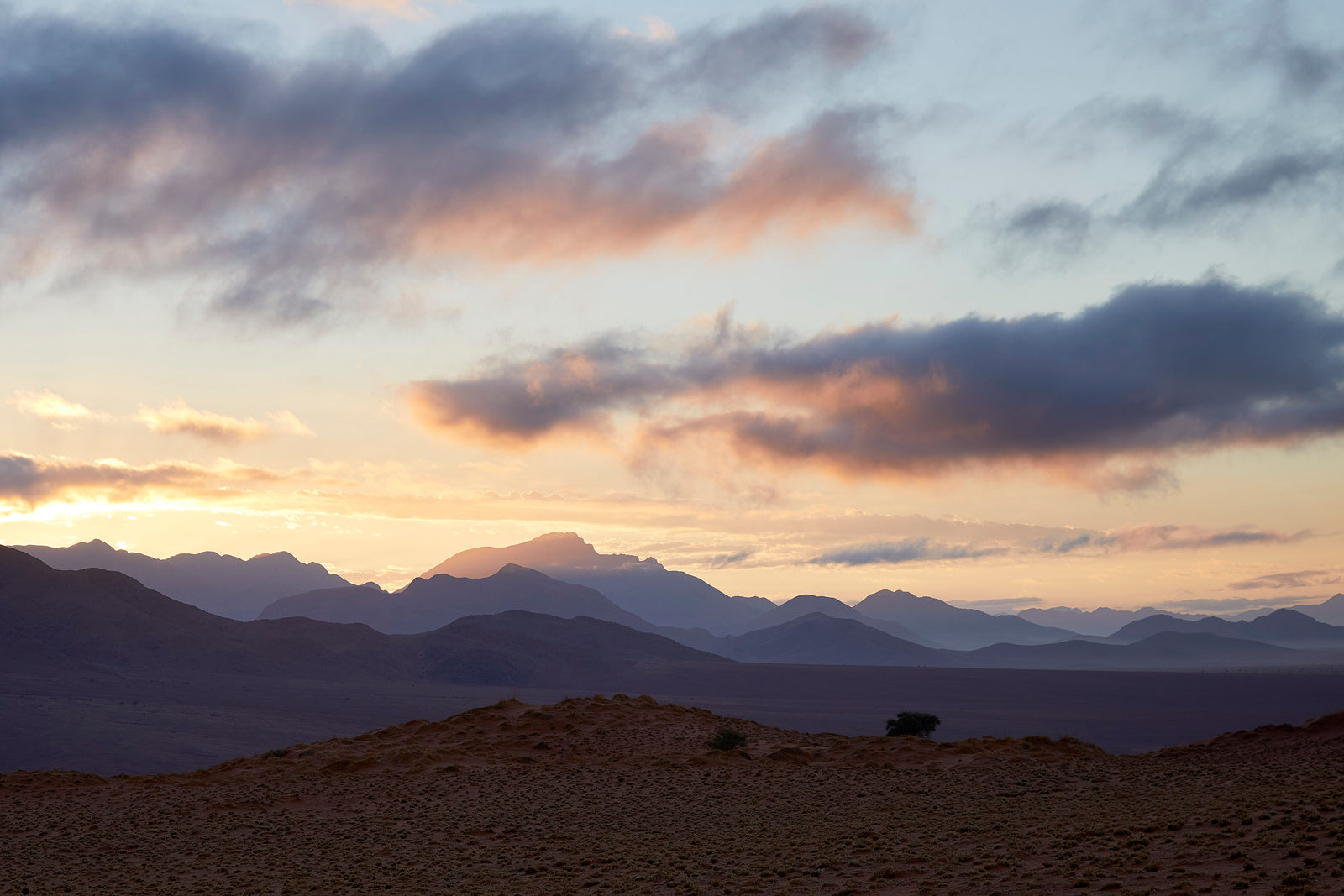 Desert mountain range at sunset with pink and grey clouds, lone tree on sandy foreground