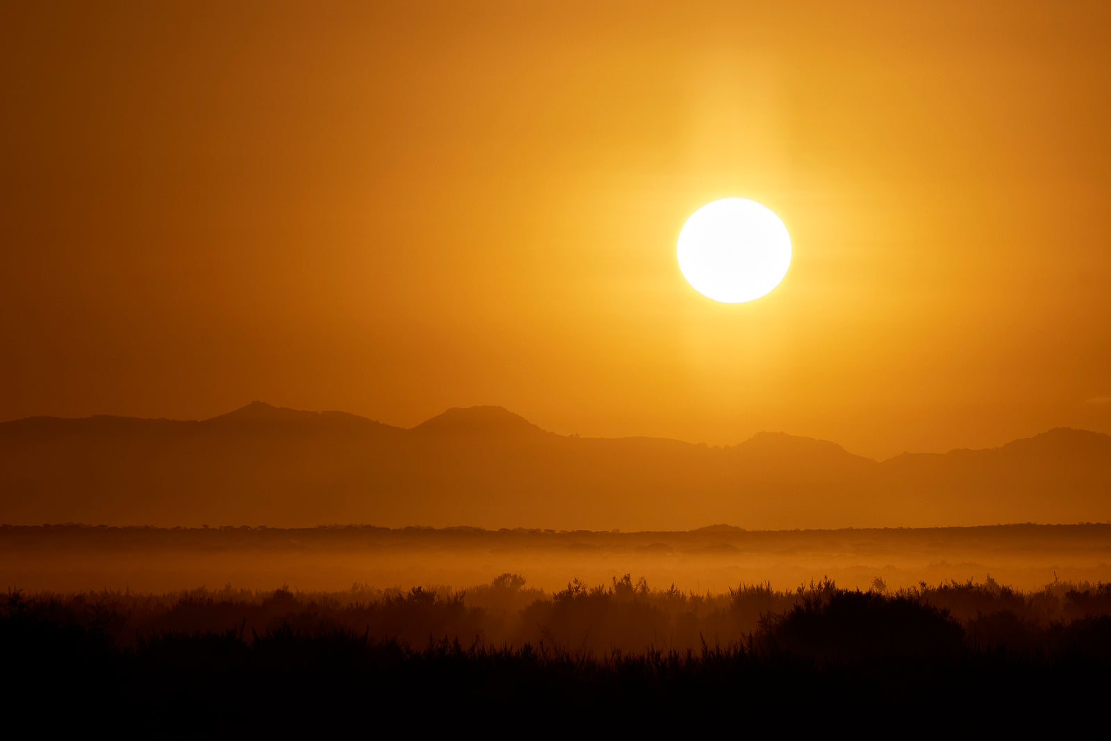 Large golden sun rising over misty savanna, silhouetted bushes and mountains in the haze
