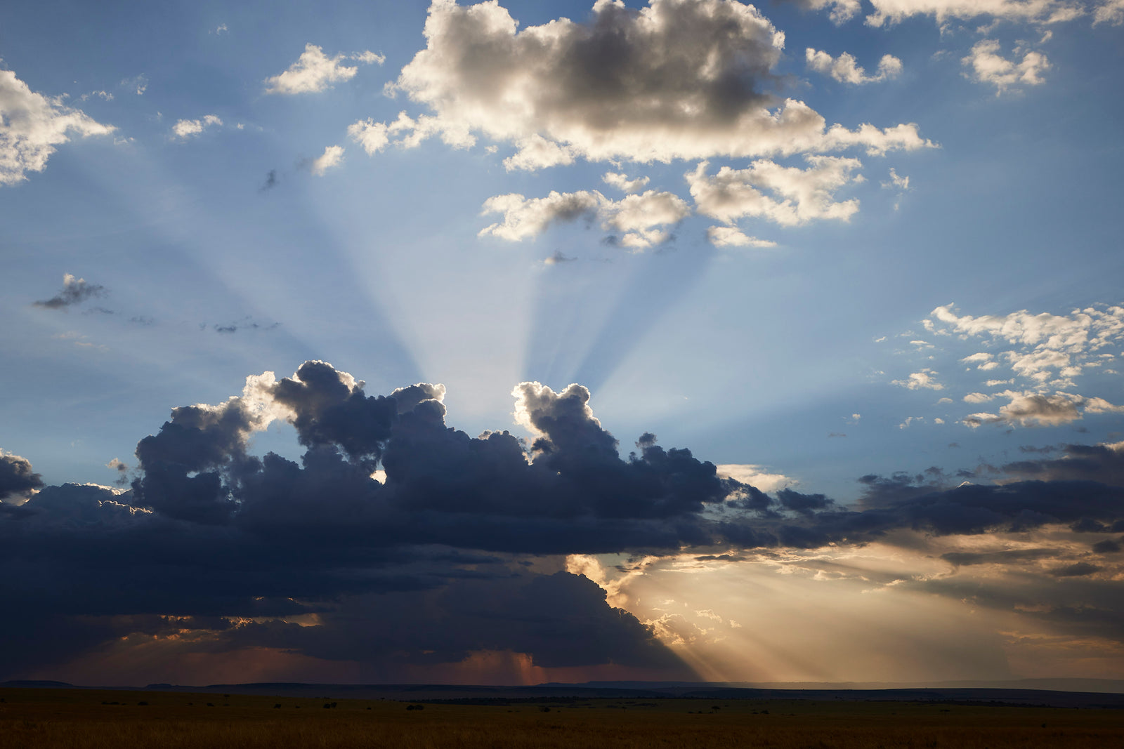 Dramatic crepuscular rays bursting from behind storm clouds over flat savanna grassland