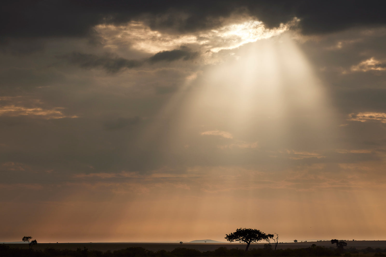 Beam of light pouring through a gap in heavy clouds onto savanna, lone acacia tree silhouetted below