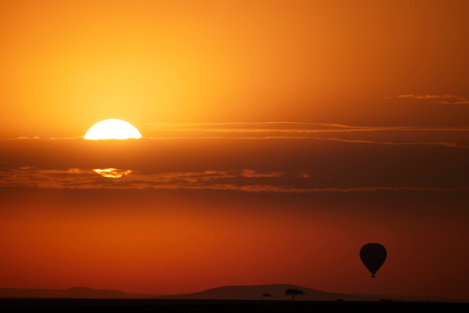 Hot air balloon silhouette and acacia tree against a vivid orange sunrise over the Masai Mara