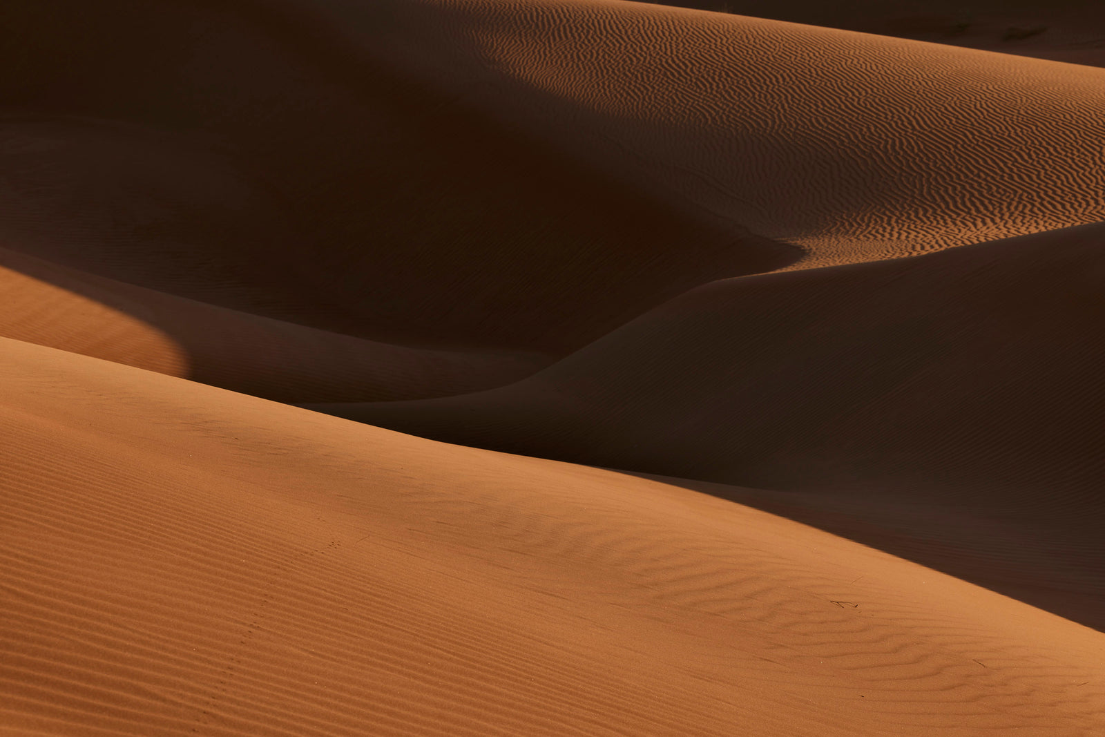 Abstract sand dune landscape — layered curves of light and shadow on rippled desert sand