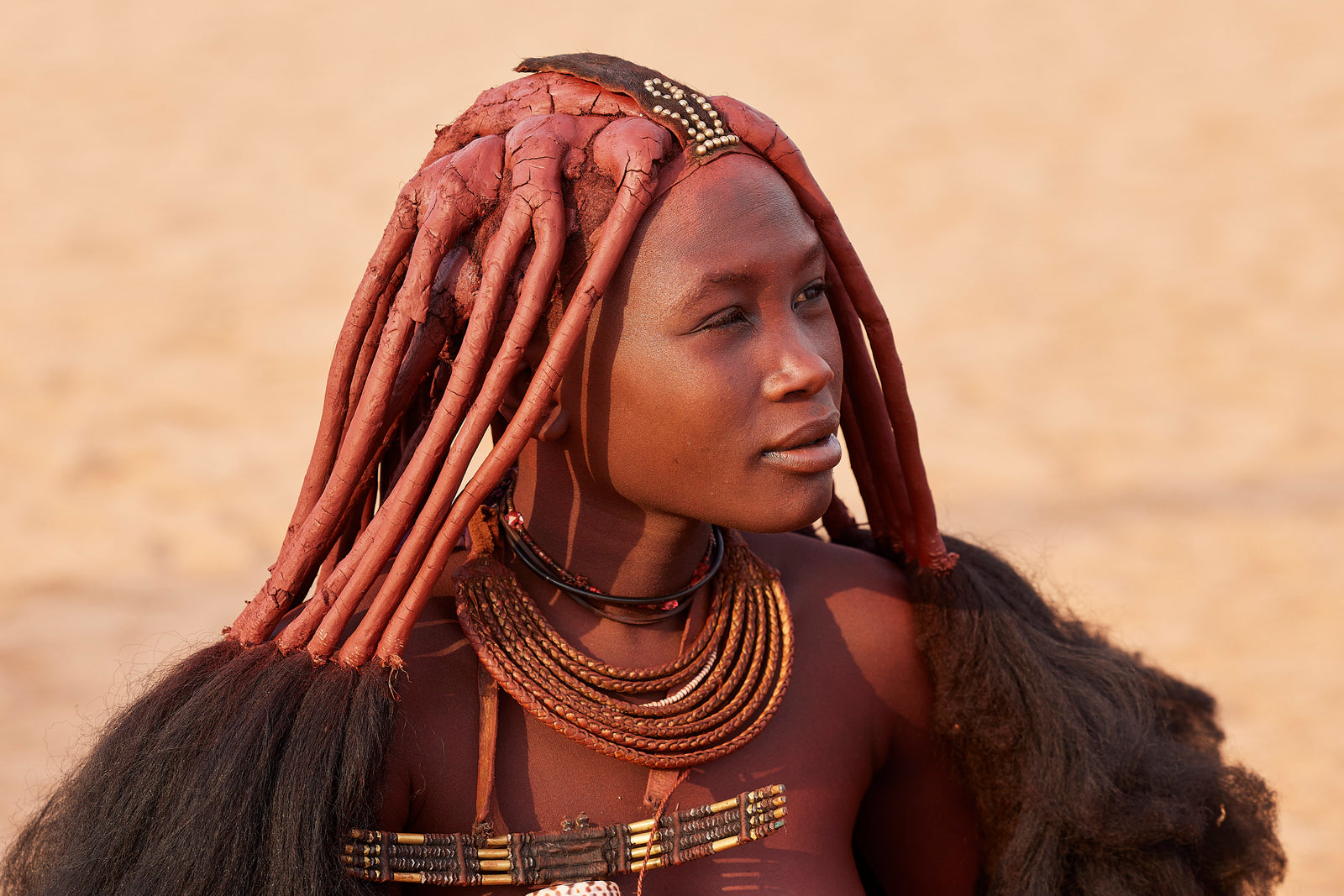 Portrait of a young Himba woman looking to the side, ochre braids and copper neck rings in warm light