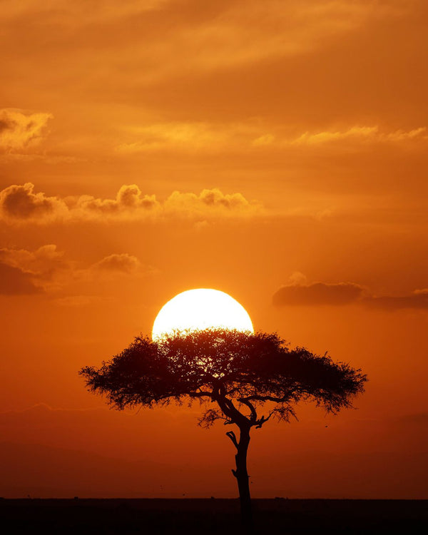 Landscapes